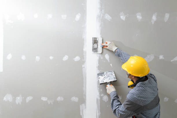 Professional Painting & Drywall Installation in View Park Windsor Hills, CA